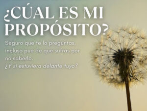 taller cual es mi proposito